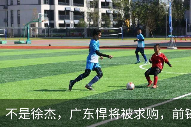 不是徐杰，广东悍将被求购，前锋，杜锋看重，转会费或8位数