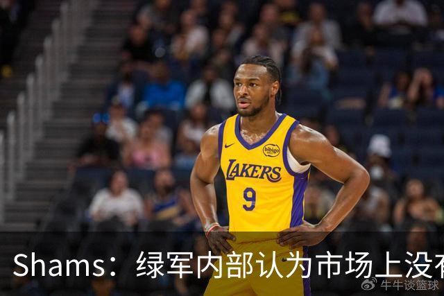 Shams：绿军内部认为市场上没有比乔治+选秀权换布朗更好的报价